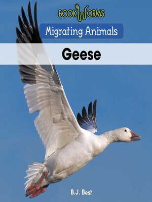 cover image of Geese